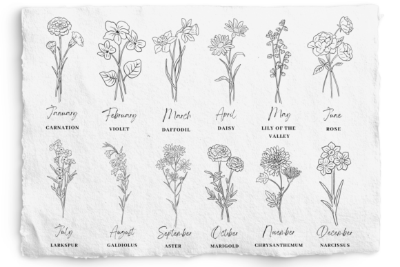 Birth Month Flower Graphics for Local Branding