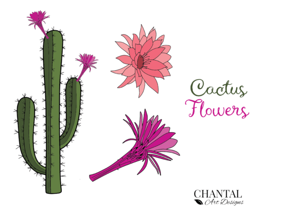Cactus and Flowers SVG