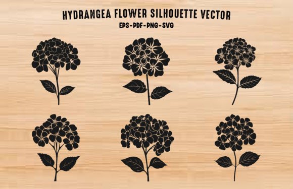 Hydrangea Flower Vector Clipart Bundle for Graphics and Illustrations