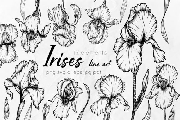 Irises Line Art Vector Collection