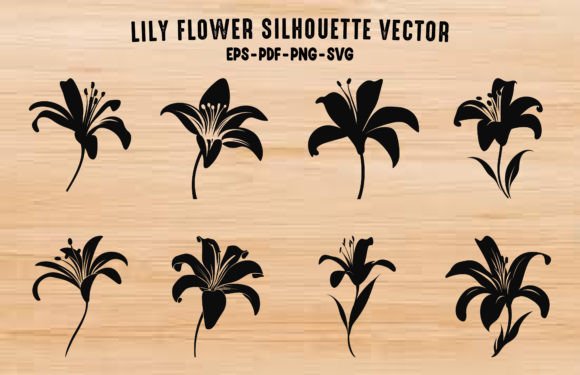 Lily Flower Silhouette Vector Bundle for Graphic Designers