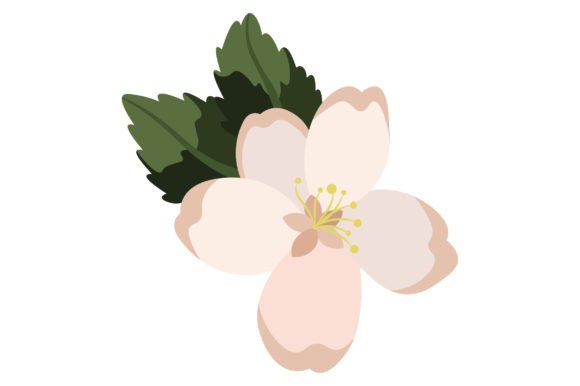 Michigan State Flower - Malus for Crafts and State Flowers