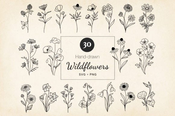 Minimal Wildflowers Set for Modern Branding