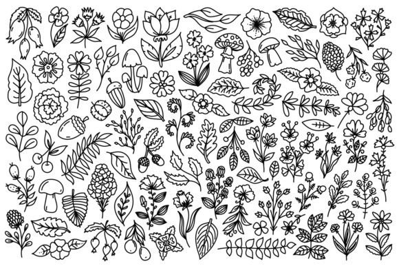 Nature Line Art Graphics for Branding