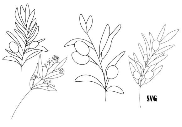 Olive, Flowers, Branches Graphics for Branding