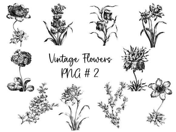Vintage Flowers Graphics for Freebies